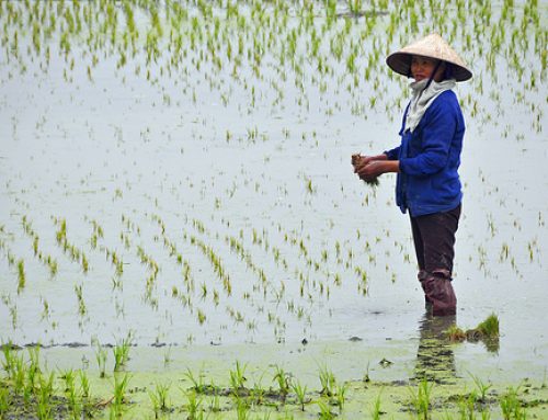 Ketika Pertanian Regeneratif Menjadi Sebuah Keniscayaan