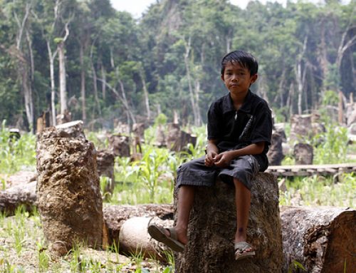 Mengungkap Peran Manusia dalam Pelestarian Alam