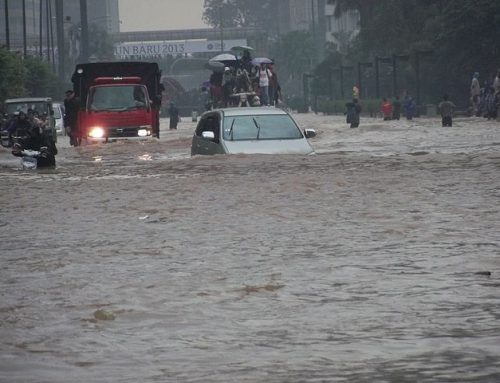 WMO: El Niño Datang Lagi, Bersiap Hadapi Cuaca Ekstrem!