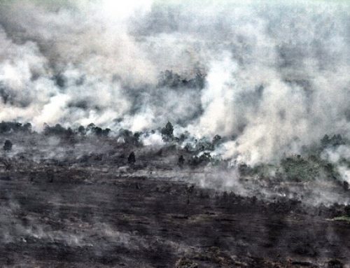 Alarm Merah Karhutla 2026