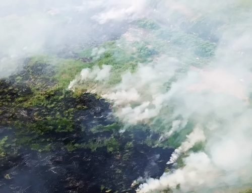 KLHS Jalan Lurus: Membedah Carut-Marut Regulasi KLHS RPJMD