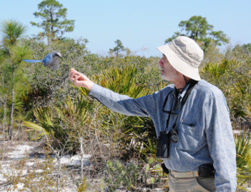 Pertumbuhan Populasi dan Krisis Ekologi