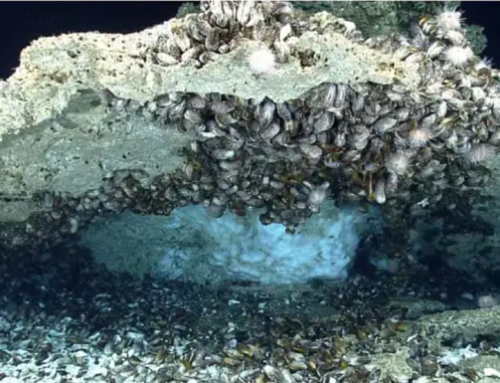 Indonesia Punya Energi Alternatif Baru: Metana Hidrat