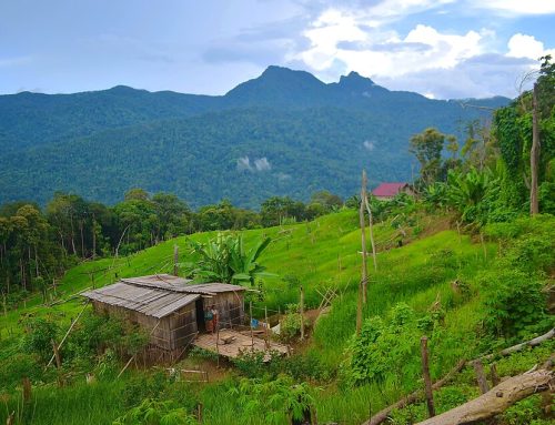 Perhutanan Sosial: Riwayatmu Terkini