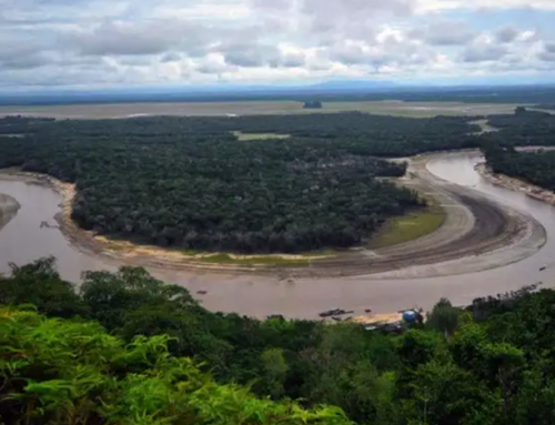 Memahami Lahan Basah sebagai Penjaga Siklus Air Tropis