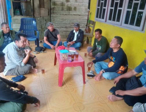 Kisah Tragis Konflik Manusia dan Gajah di Damar Hitam