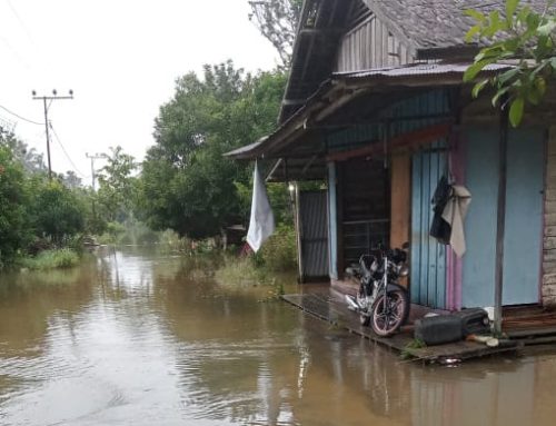 Menyelamatkan Katingan dari Krisis Iklim