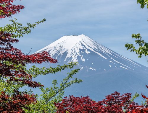 Belajar Berkhidmat pada Alam dari Perusahaan Jepang