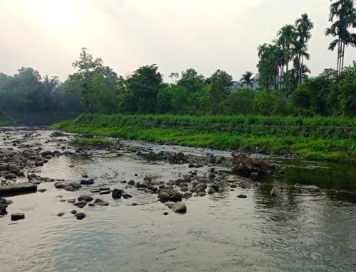 Menjaga Hutan, Merawat Kehidupan: Dari Kesepakatan Desa hingga Menjual “Angin”