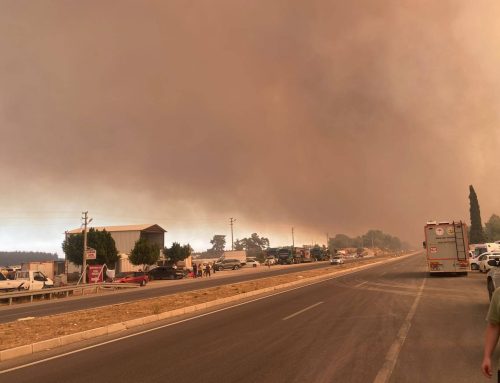 Wildfires Spark Calls for Türkiye’s Leadership on Fossil Fuel Phaseout