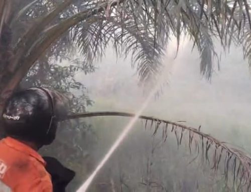 Penanganan Kebakaran Hutan dan Lahan di Jambi, Mengapa Belum Juga Tuntas?